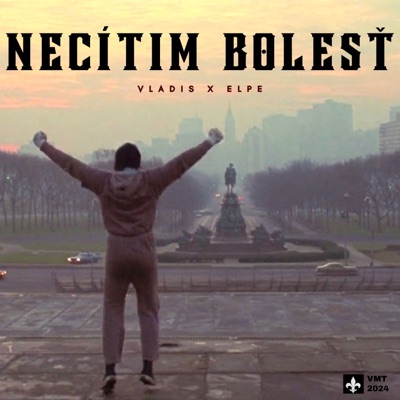 Necítim bolesť - Single