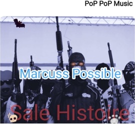 Sale Histoire Marcuss possible