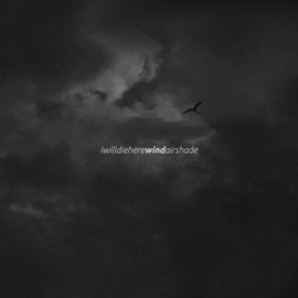 wind (feat. airshade) iwilldiehere