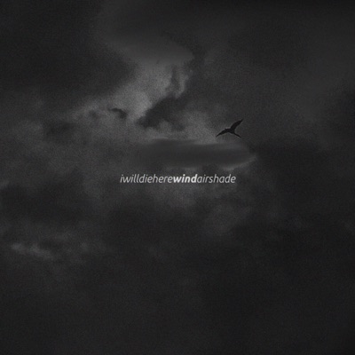 wind (feat. airshade) - Single