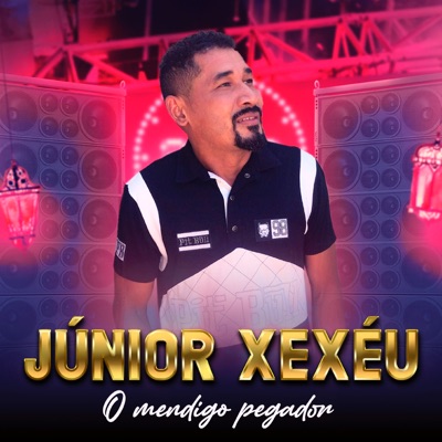 O Mendingo Pegador - Single