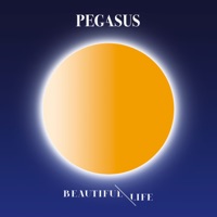 Beautiful Life - Pegasus