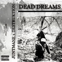 DEAD DREAMS (feat. JUNTMANE) - Single - DESTRUKTION