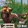 What You Want - Single