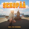 Sekopää - Single