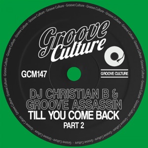 Till You Come Back (Extended Mix)