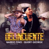 Delincuente (feat. Query George) artwork