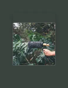 Listen to Callykey, watch music videos, read bio, see tour dates & more!