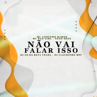 Não Vai Falar Isso - Single - Dj Gs da Reta velha, MC Andynho Ramos, Nego Doze, Dj Claudinho Mpc & MC Bad Girl