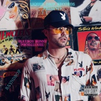 Playboy Bunny - Single - RaynDrop
