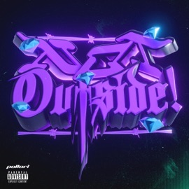 Not Outside! Pollari