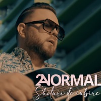 Shoturi De Iubire - Single - 2NormaL