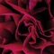 Coil - Ian Boddy lyrics
