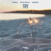 Try - Single