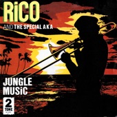 Jungle Music artwork