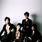 SKYWINGS