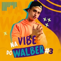 Na Vibe do Walber #3 - Walber
