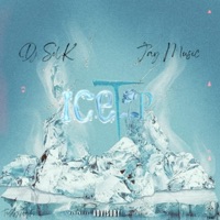 Ice Tip (feat. Jay Music) [Deep Groove] - Single - DJ SOL K