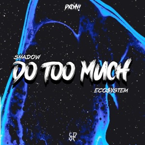 Do Too Much (feat. Ish Quan & SLothy)