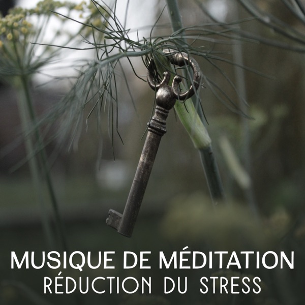Musique de méditation - Réduction du stress, nature sonne pour un esprit harmonieux, sophrologie, routine de yoga, musique zen de guérison