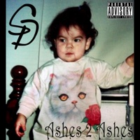 Ashes 2 Ashes - Soul Providers
