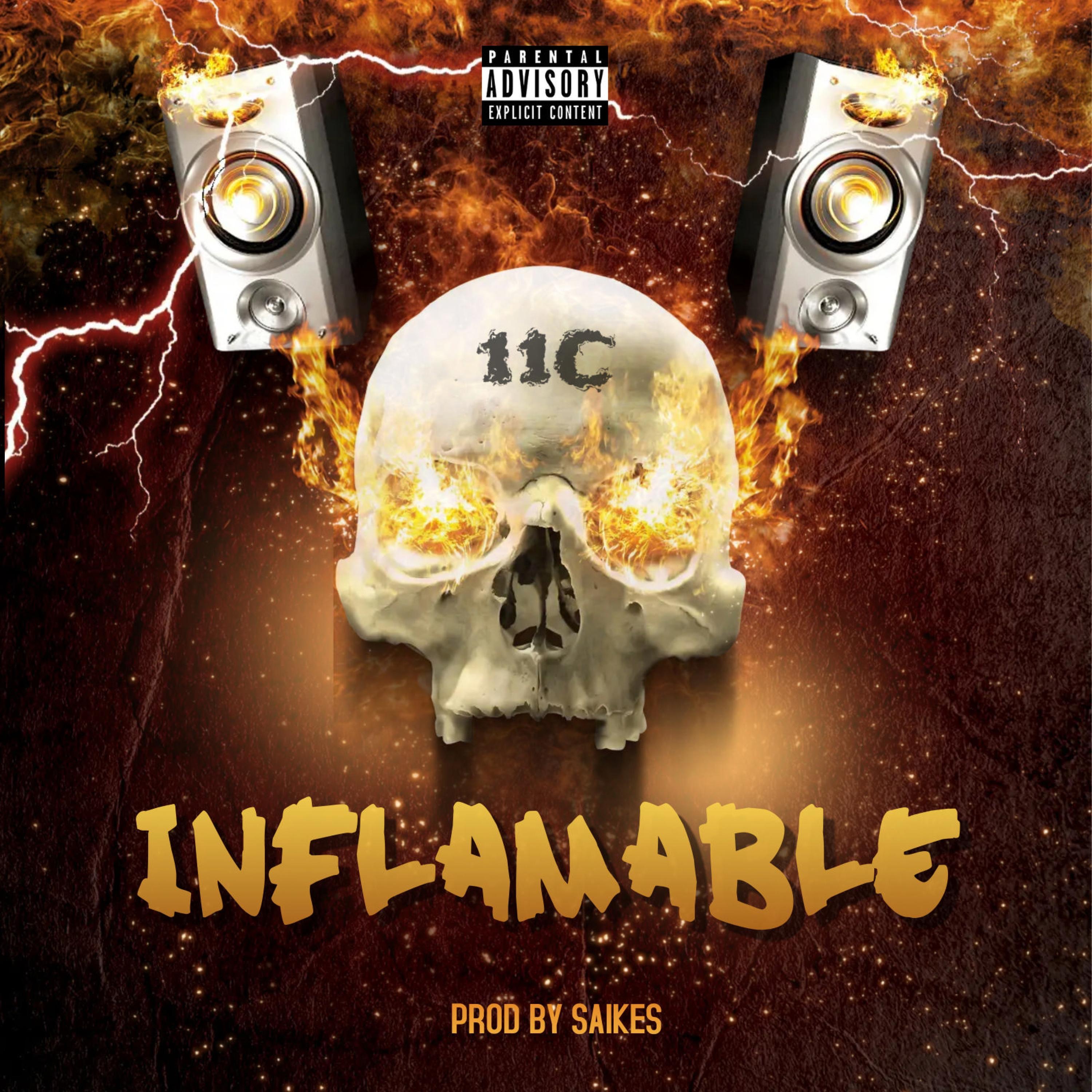 Inflamable - Single