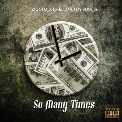 So Many Times (feat. J Mello & Toy Soulja) - Single