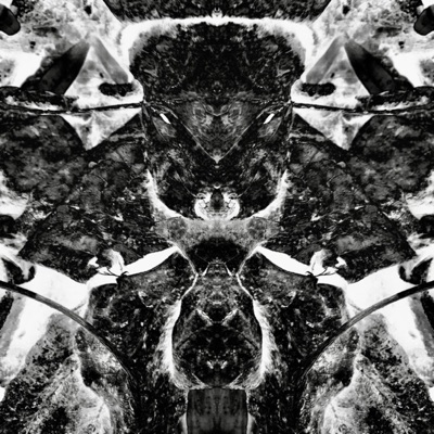 +Optical Unions - Single