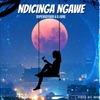 Ndicinga Ngawe (feat. D Andre) - Single