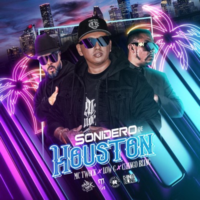 SONIDERO DE HOUSTON (feat. Low G & Chingo Bling) - Single