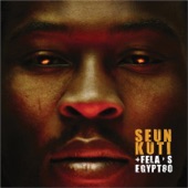 Seun Kuti + Fela's Egypt 80 - Mosquito Song