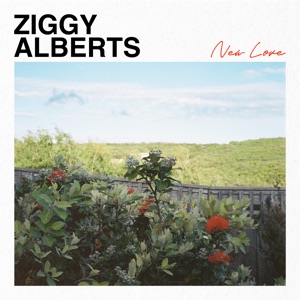 Ziggy Alberts - New Love - Line Dance Music