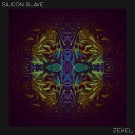 Swampy Quaaludes (feat. Zekel) Silicon Slave