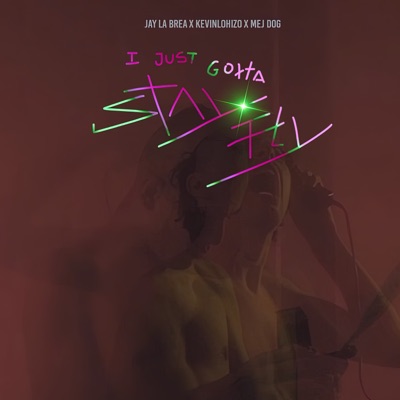 I Just Gotta Stay Fly - Single