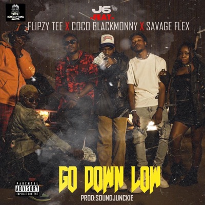 Go down low (feat. Flipzy Tee Coco blackmonny savage flex) - Single