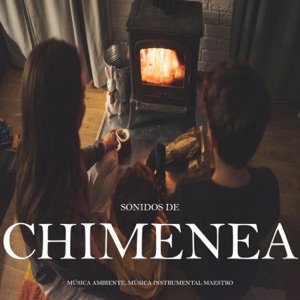 Sonidos de Chimenea Para Leer