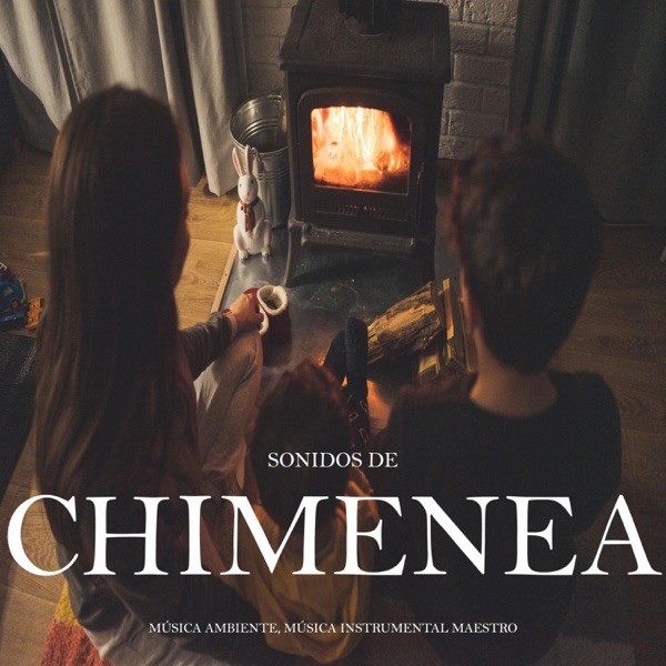 Sonidos de Chimenea Para Leer