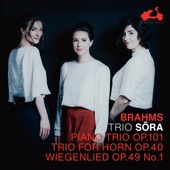 Horn Trio in E-Flat Major, Op. 40 (Version for Piano Trio): III. Adagio mesto artwork