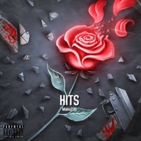 Hits - Single - Manu235
