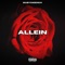 Allein (Speed Up Version) artwork