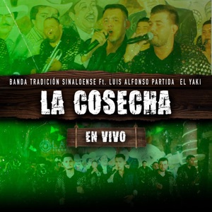 La Cosecha (Live)