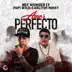 Amor Perfecto - Single album cover