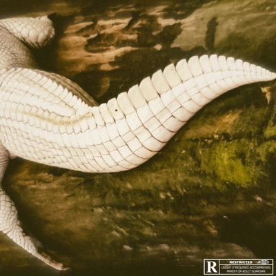 Cura. (feat. Conde) - Single