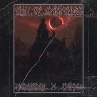 End of Existence - Single - PxycxZ & RXLXNSLXW