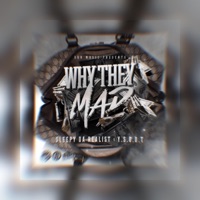 Why They Mad C & S X DJ DREAL (feat. Y.S.O.D.T) - Single - Sleepy Da Realist