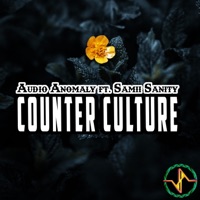 Counter Culture (feat. SaMii SaNity) - Single - Audio Anomaly