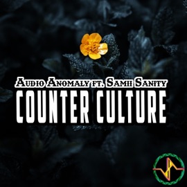 Counter Culture (feat. SaMii SaNity) Audio Anomaly