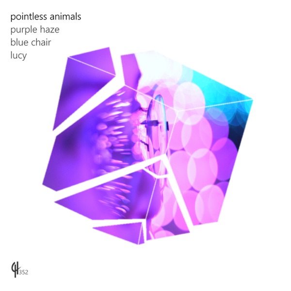 Purple Haze - Single