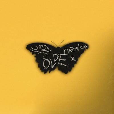 Used To (feat. Kareem Ledell) - Single