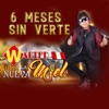 6 Meses Sin Verte - Single